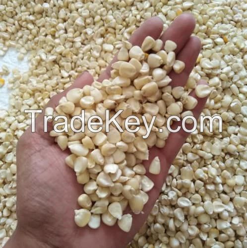 White/Yellow Corn (Maize) 