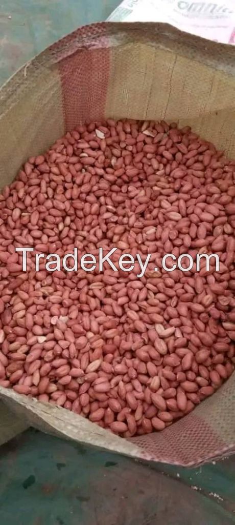 LONG GRAAIN WHITE RICE , WHEAT GRAIN , SOYABEANS,BEANS,PEAS,PULSES,SUNFLOWER  