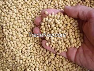 Corn Gluten Meal,Coriander Seeds.Conscious Food Pigeon Pea,CHIA SEEDS,Cumin Seeds,Fennel Seeds,Fenugreek Seeds,flax seeds,Fissh meal,Green Cardamom