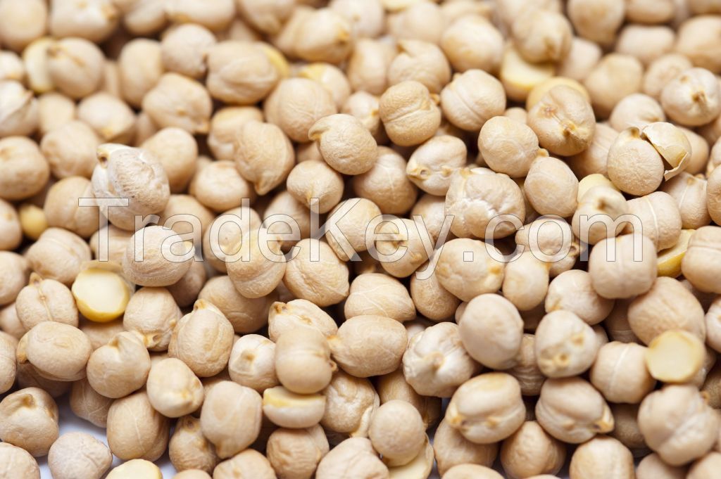 Chickpeas, Chick Peas, Fresh Dried Chickpeas