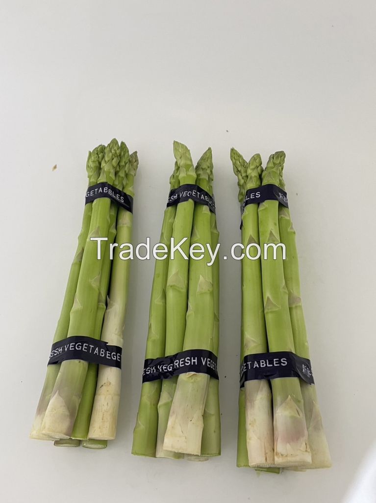 Fresh Asparagus