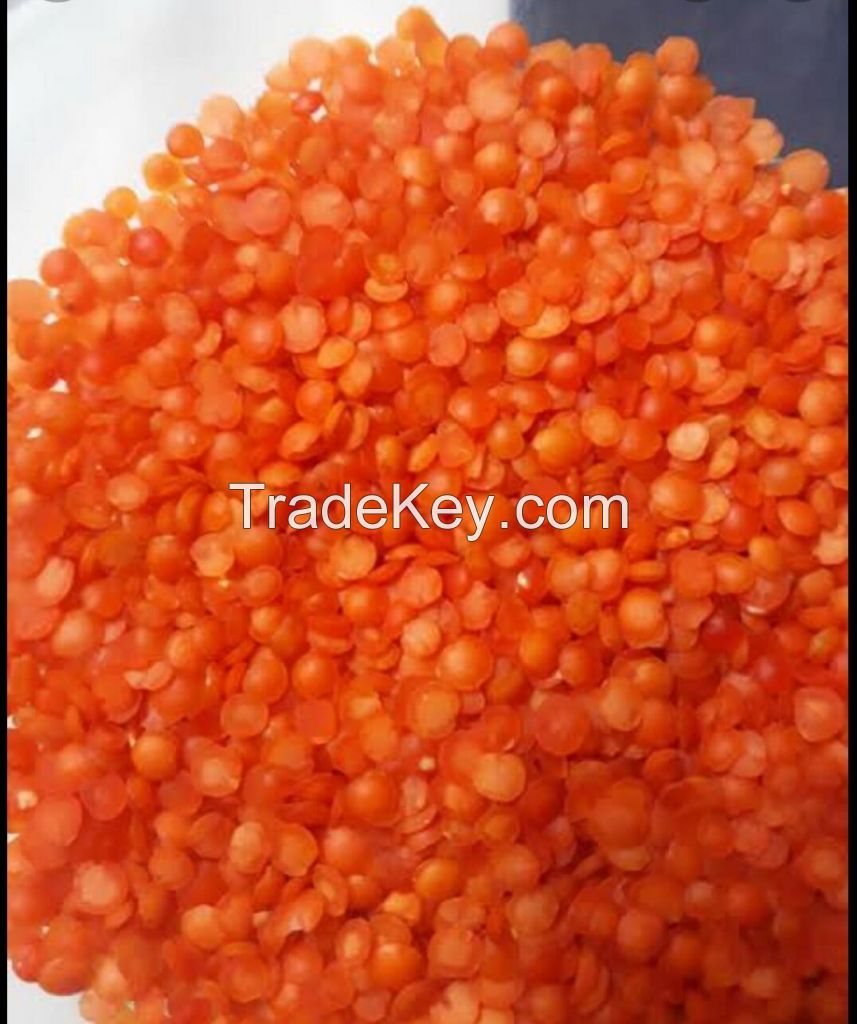 red lentils 