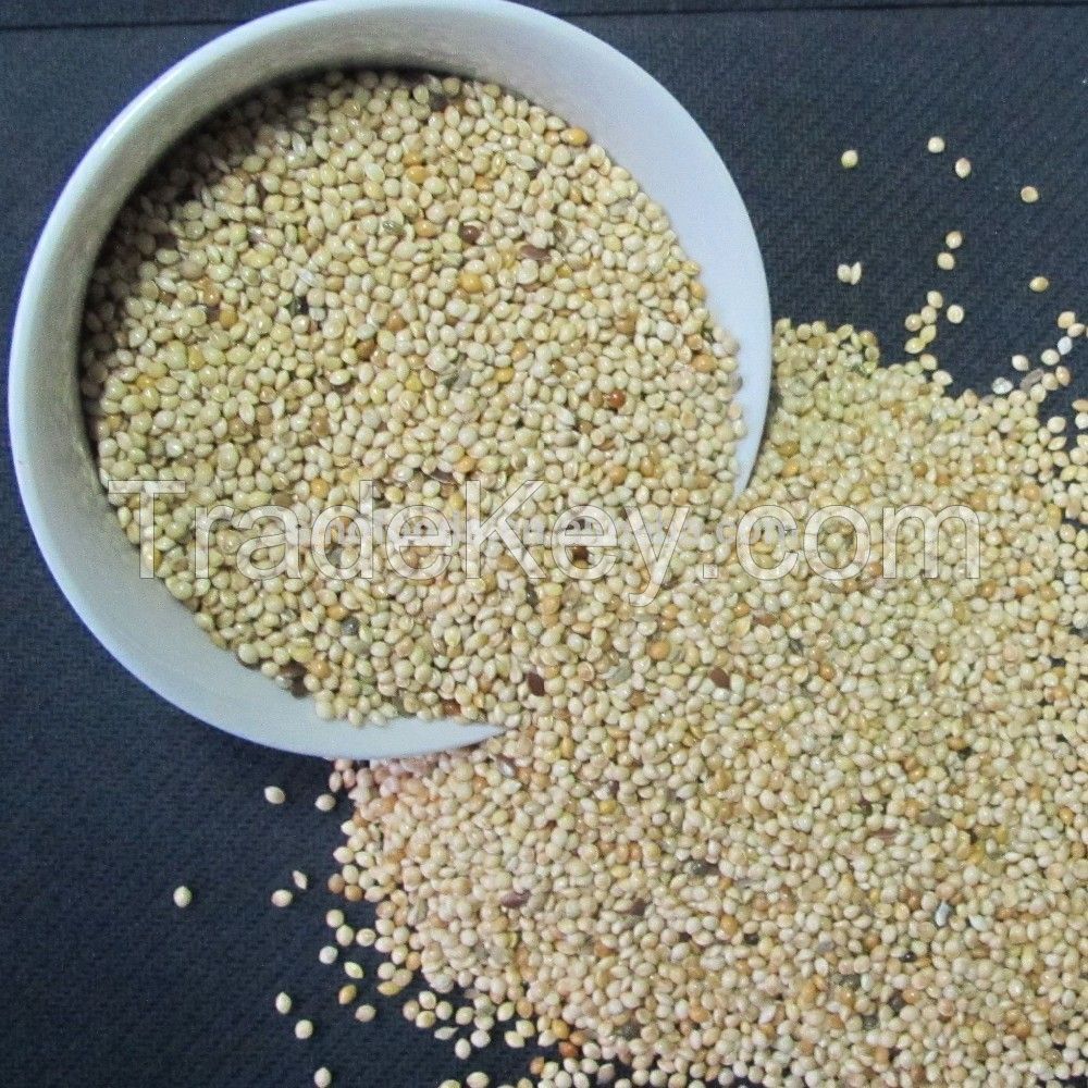 Natural and Organic Millet Seeds