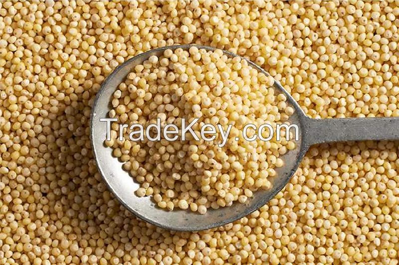 Natural and Organic Millet Seeds