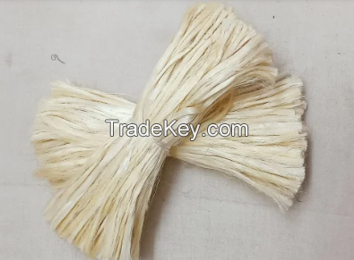 Sisal Fiber