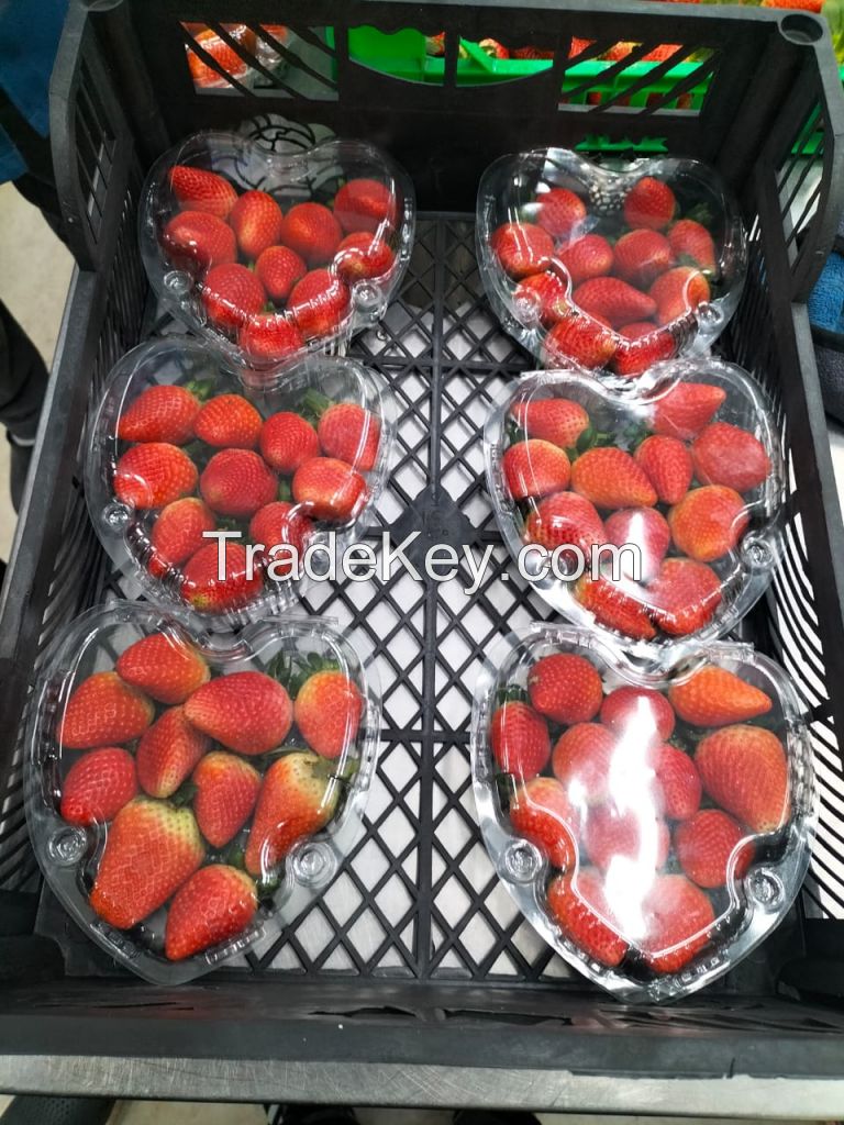 Fresh Strawberry