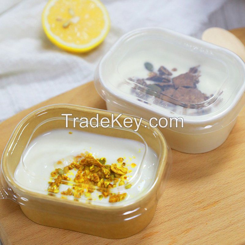  Ice Cream Square Box container Freezer Safe