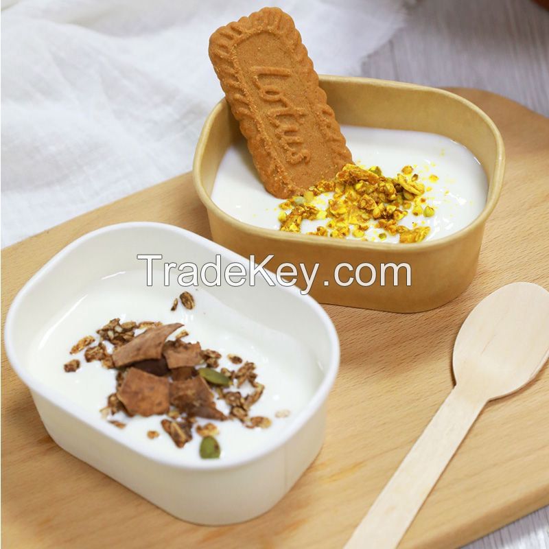  Ice Cream Square Box container Freezer Safe