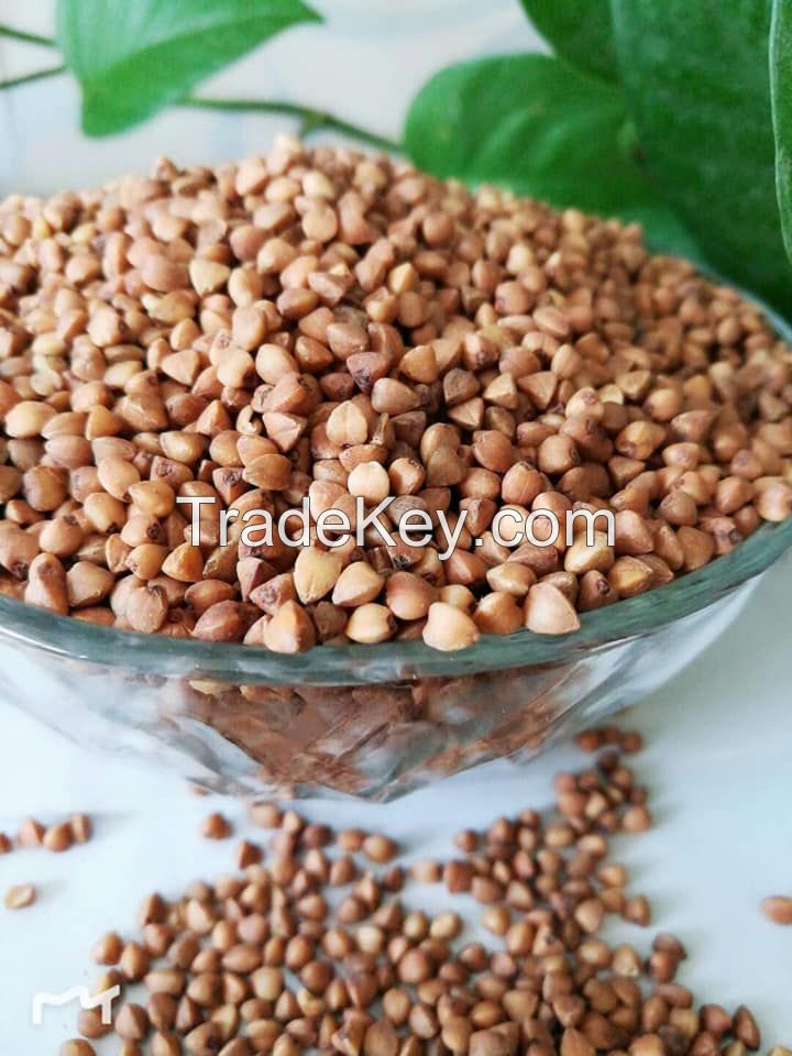  Buckwheat