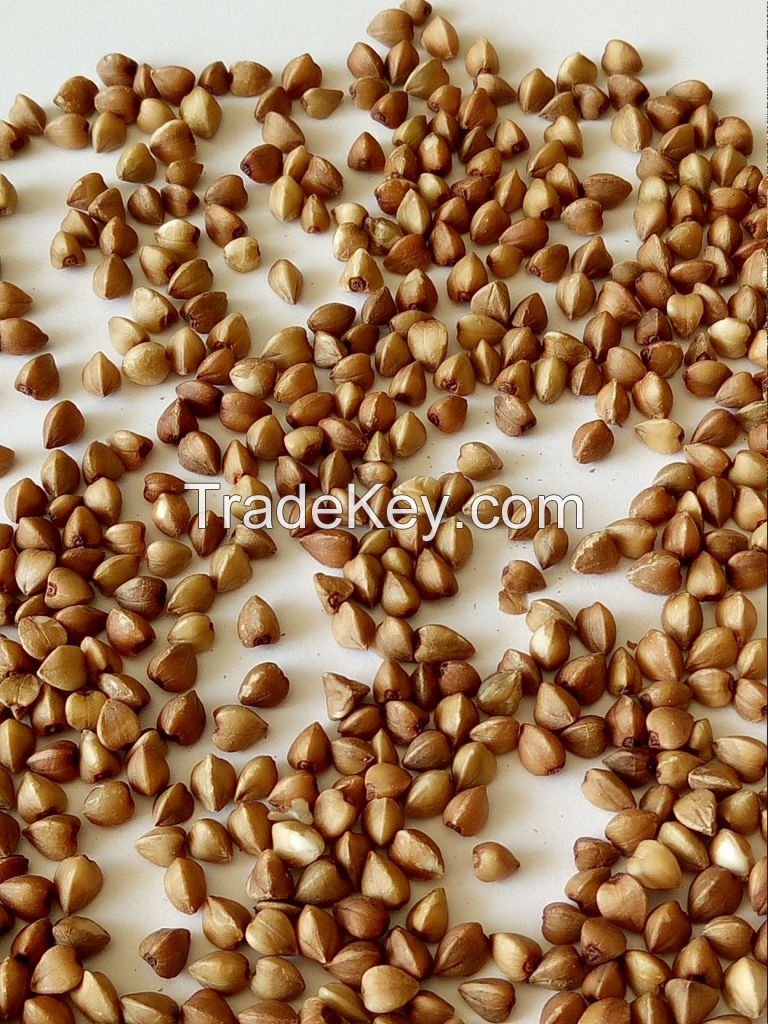  Buckwheat