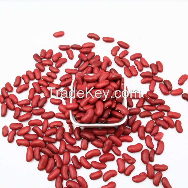 Kidney Beans