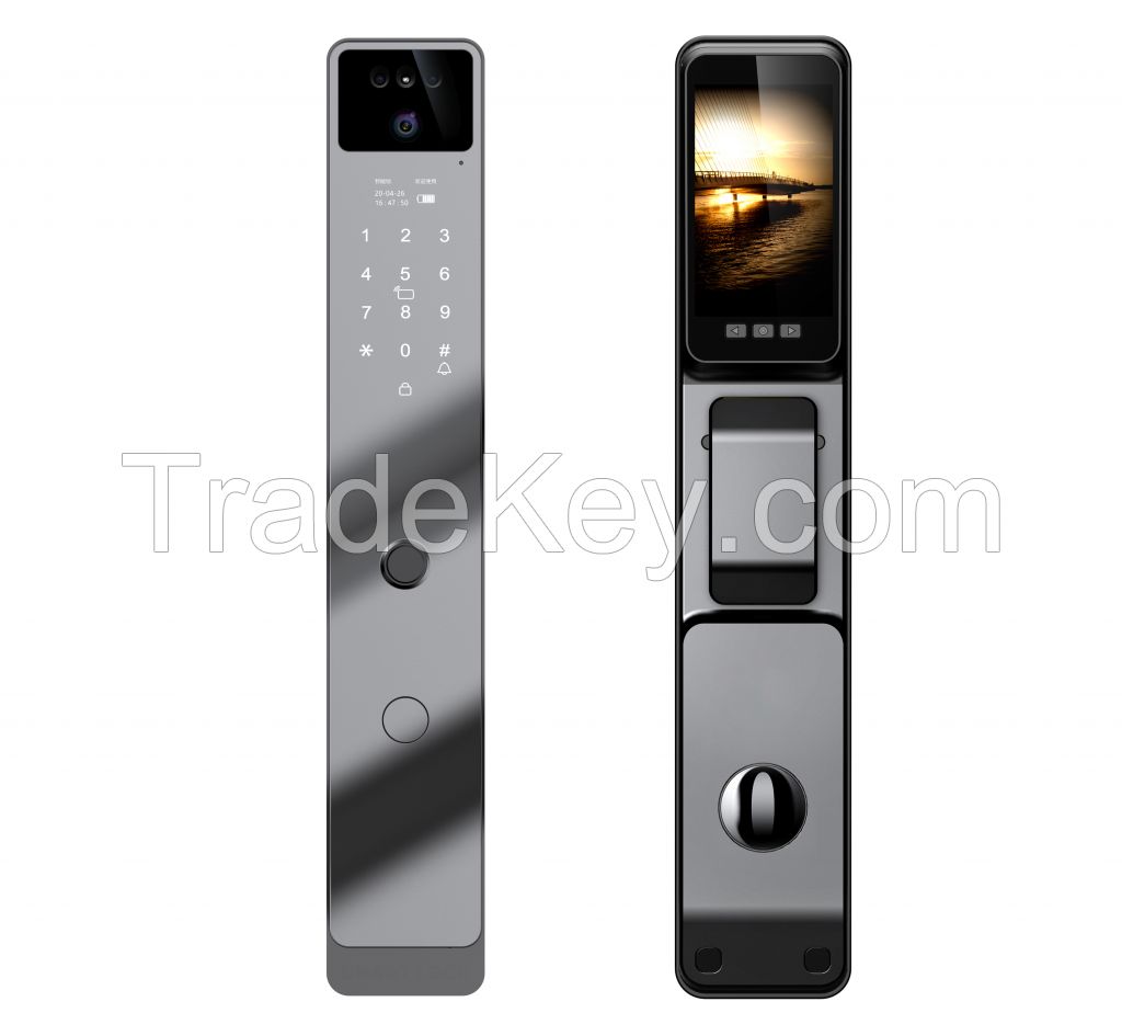 Tuya/TT Lock Advanced Smart Fingerprint Entry System for Home and Hotel Security