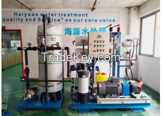 Containerised Seawater RO Sea Water  Desalination Plant containerized borehole well salt reverse osmosis  water treatment plant