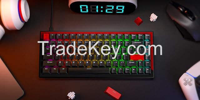 DrunkDeer G75 Rapid Trigger Mechanical Keyboard, TKL Gaming Keyboards, Magnetic Switch Keyboard, 75% Layout - 84 Keys, RGB