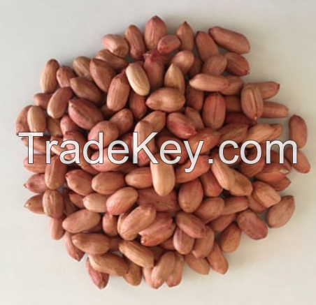 Selling raw peanuts in cheap price 