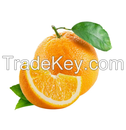 Fresh orange for Sale 