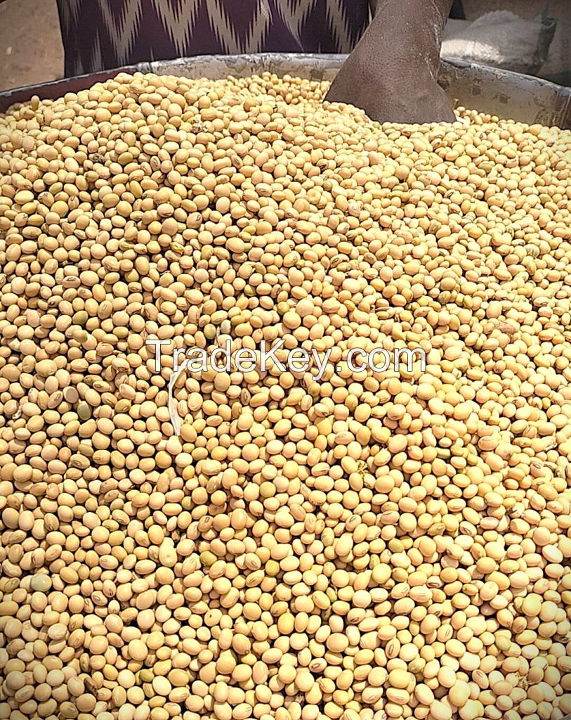 Premium soyabeans