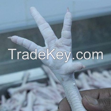 Chicken Feet / Frozen Chicken Paws Brazil / Fresh chicken wings and foot