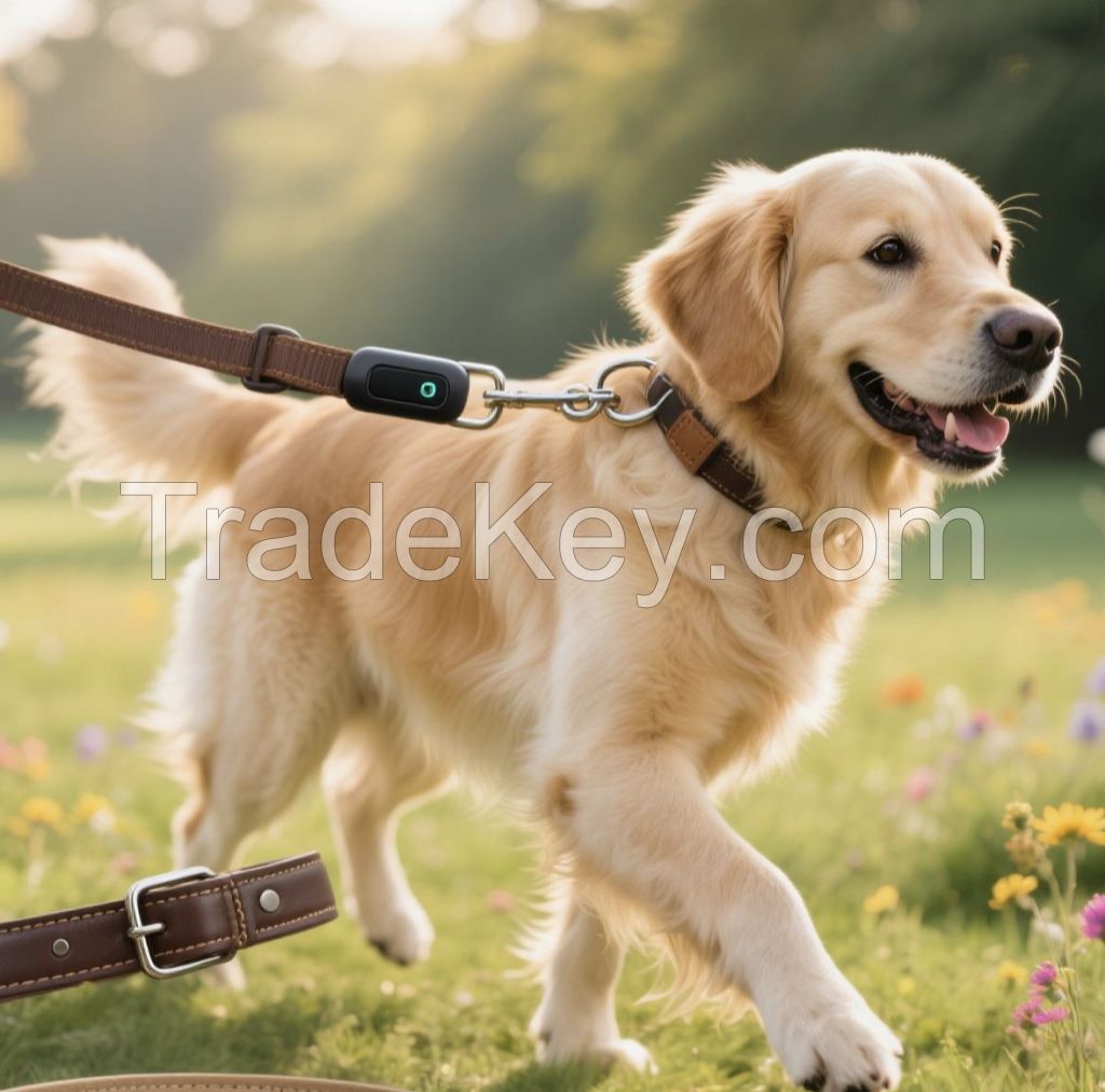 Leash Mind