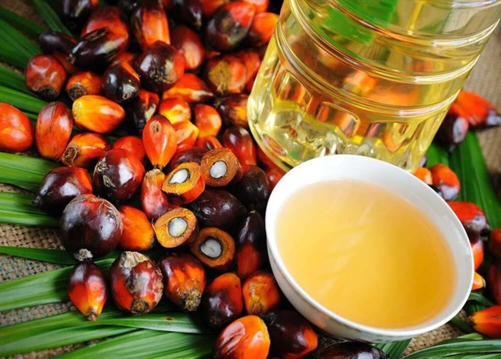 100% Pure Palm Kernel Oil Ã¢ï¿½ï¿½ Crude & Refined | Bulk Supply at Competitive Price