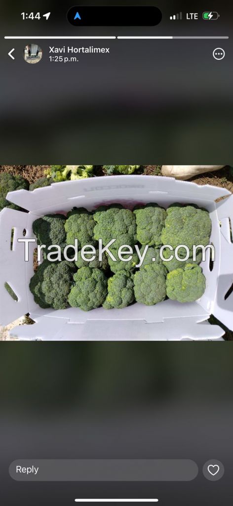 FRESH BROCCOLI