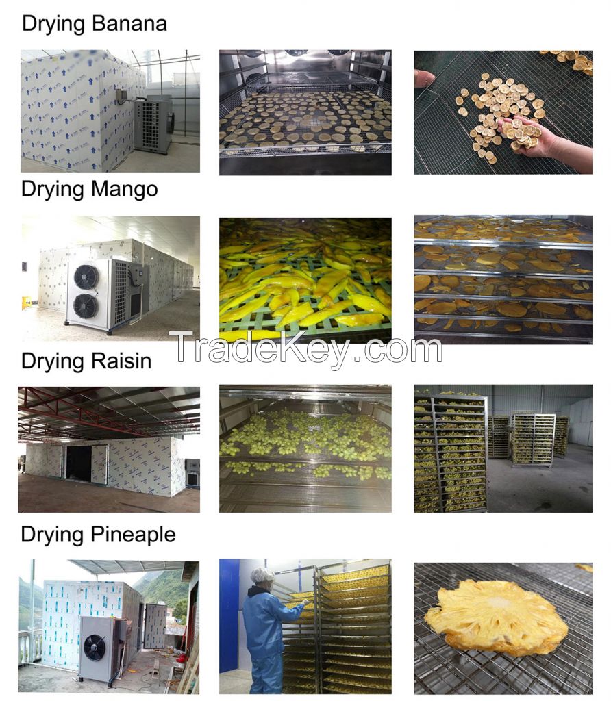 Industrial Heat Pump Dehydrator for Dog Fish Feed Spices Energy-Efficient Drying Machine