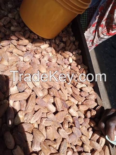 Dried Dates