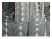 SELL Welded Wire Mesh