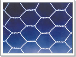 Hexagonal wire netting