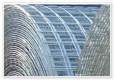 Galvanized Welded Wire Mesh