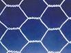 Hexagonal Wire Mesh