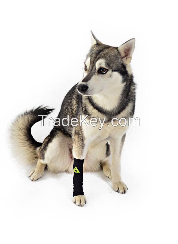 Dog's shin/calf sleeves/ guard