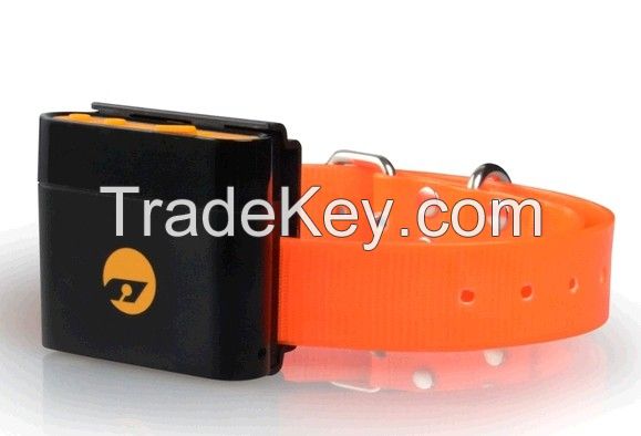 Waterproof Portable GPS Tracker Magnet