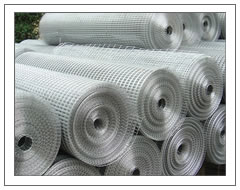 Welded Wire Mesh