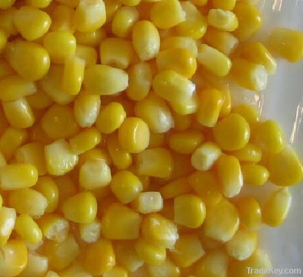 Canned Sweet Corn