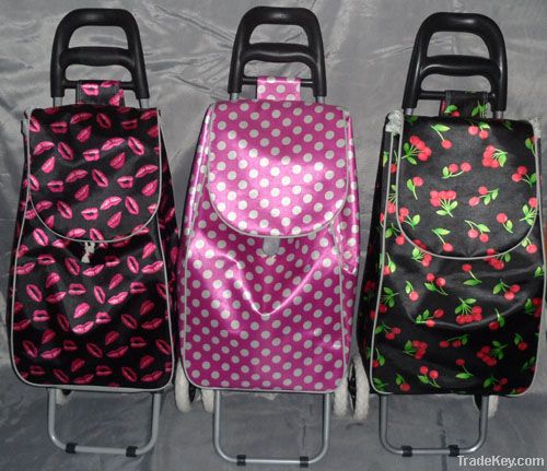 Foldable shopping trolley/shopping trolley bag