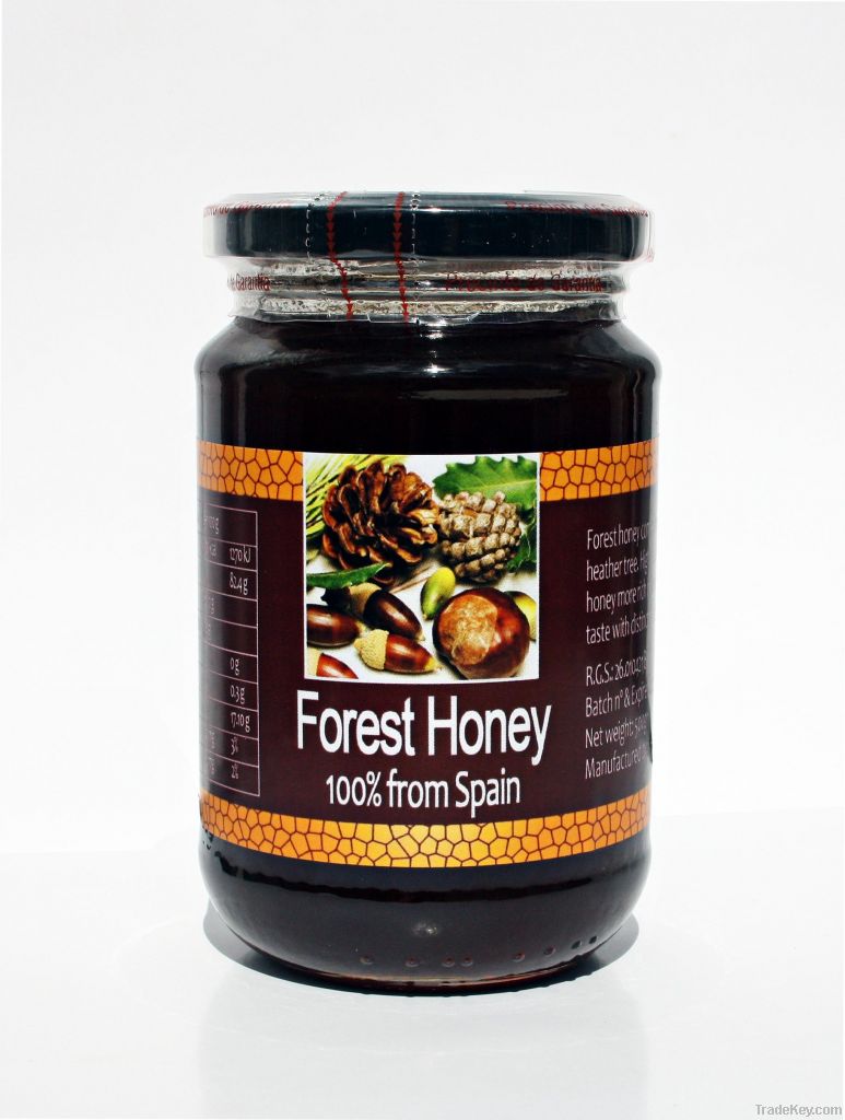 100% Forest Honey from Spain