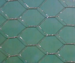 Hexagonal Wire Netting