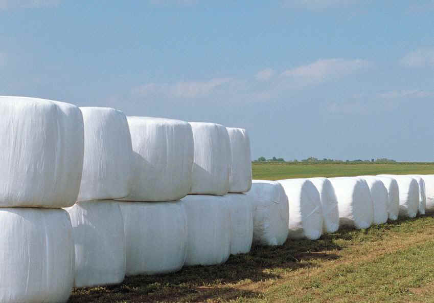 silage film