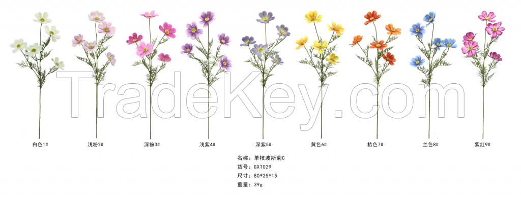 Single Stem Cosmos Bipinnatus  C