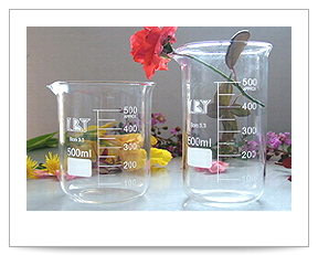 Laboratory Glassware