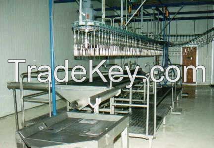 Poultry Processing Plant 1000-3000 birds per hour