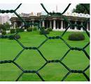 hexagonal wire netting