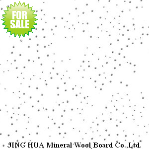 Acoustic Ceiling Boards