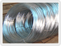 sell annealed  wire