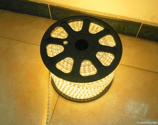 LED Reel Lights