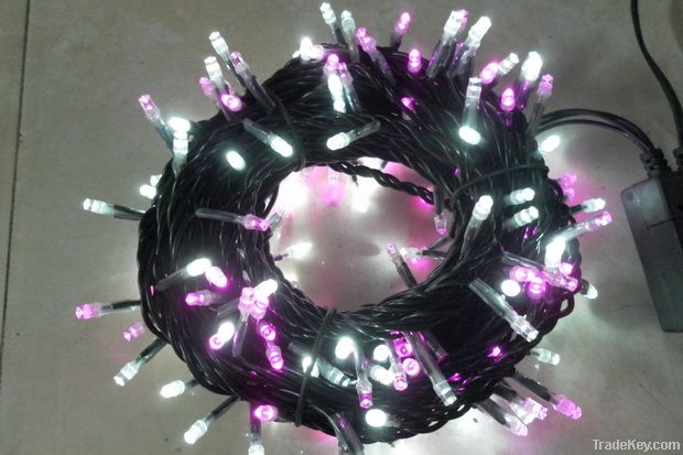 LED Christmas Lights