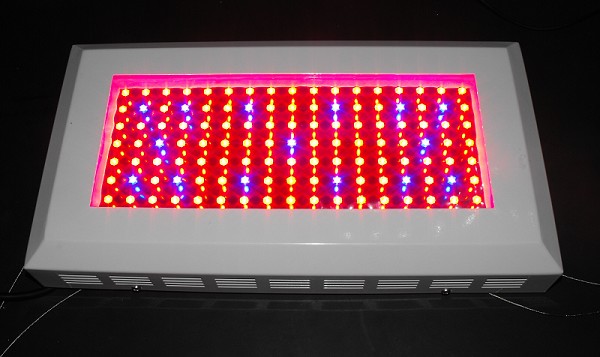 LED Grow Lighting