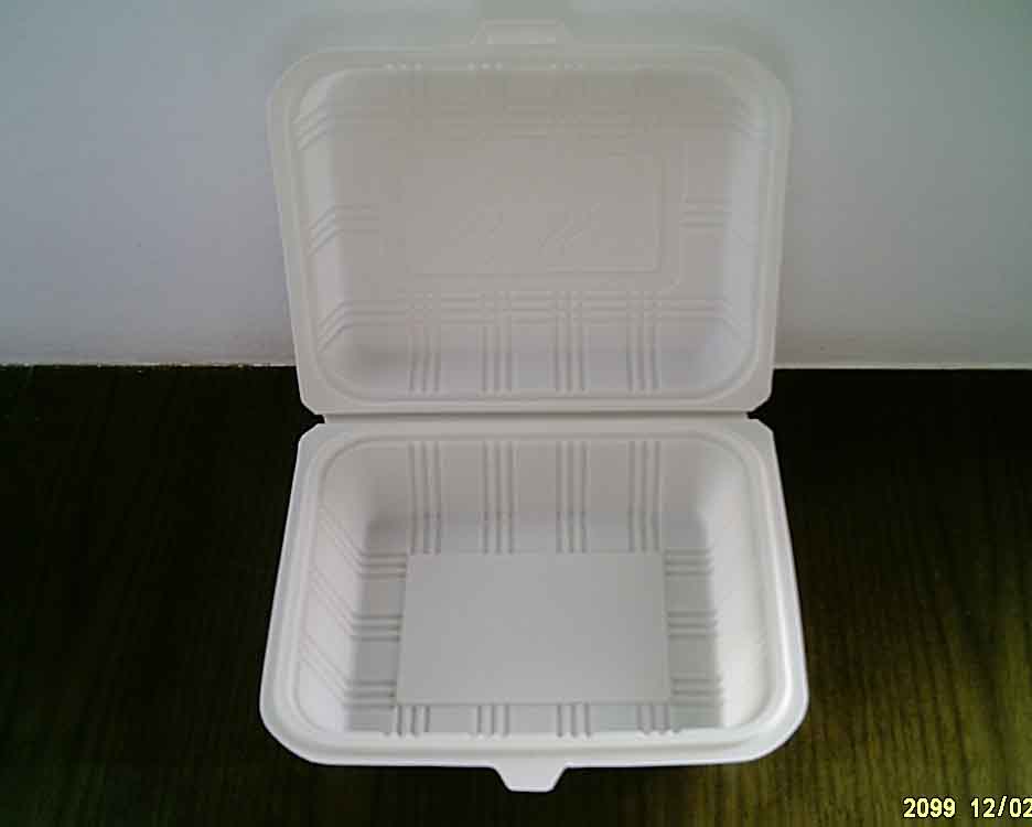 disposable meal box