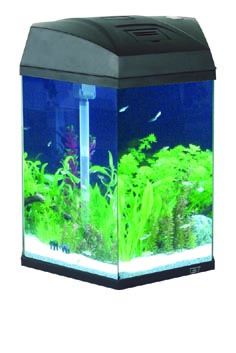 AA C Class Series Aquariums